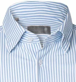 Großhandel ✔️ fakts Hemd 6013/213 Slim Fit, Jersey geruchshemmend, Hellblau-weiß gestreift, Hellblau ⌛ -Hemden Verkaufsgeschäft 363973 norm2